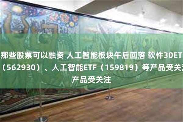 那些股票可以融资 人工智能板块午后回落 软件30ETF（562930）、人工智能ETF（159819）等产品受关注