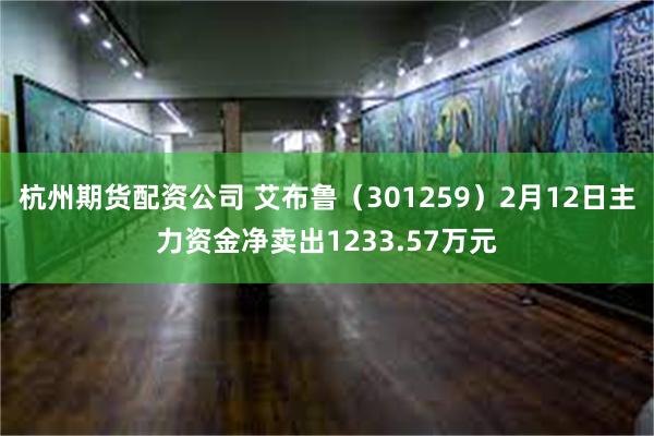 杭州期货配资公司 艾布鲁（301259）2月12日主力资金净卖出1233.57万元