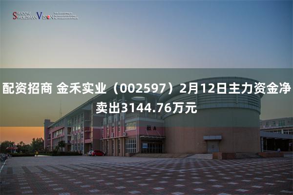 配资招商 金禾实业（002597）2月12日主力资金净卖出3144.76万元