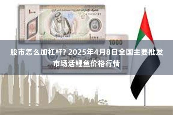 股市怎么加杠杆? 2025年4月8日全国主要批发市场活鲤鱼价格行情