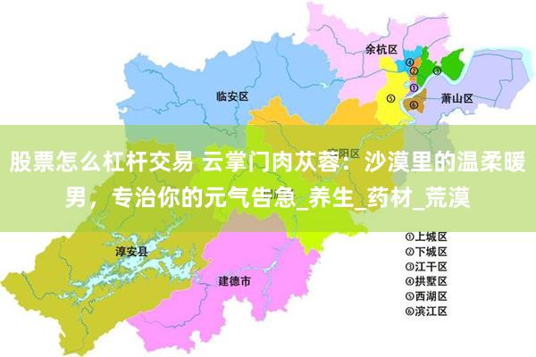 股票怎么杠杆交易 云掌门肉苁蓉：沙漠里的温柔暖男，专治你的元气告急_养生_药材_荒漠