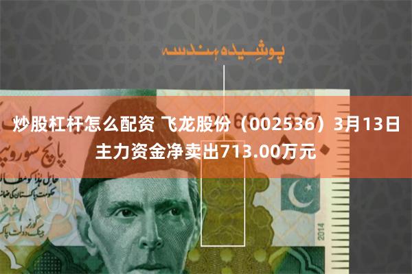 炒股杠杆怎么配资 飞龙股份（002536）3月13日主力资金净卖出713.00万元