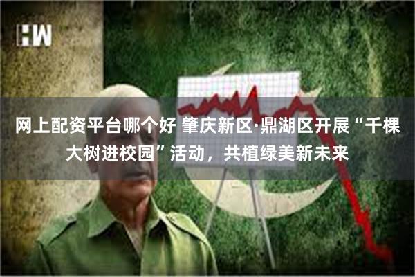 网上配资平台哪个好 肇庆新区·鼎湖区开展“千棵大树进校园”活动，共植绿美新未来
