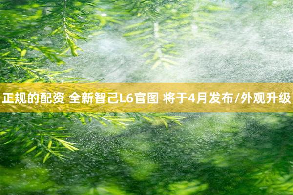 正规的配资 全新智己L6官图 将于4月发布/外观升级