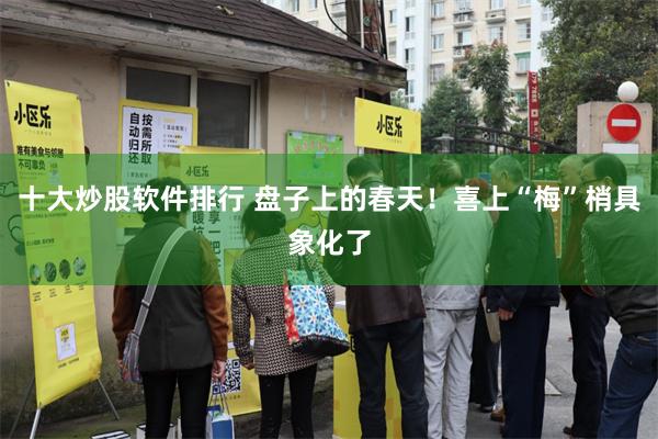 十大炒股软件排行 盘子上的春天！喜上“梅”梢具象化了