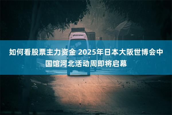如何看股票主力资金 2025年日本大阪世博会中国馆河北活动周即将启幕