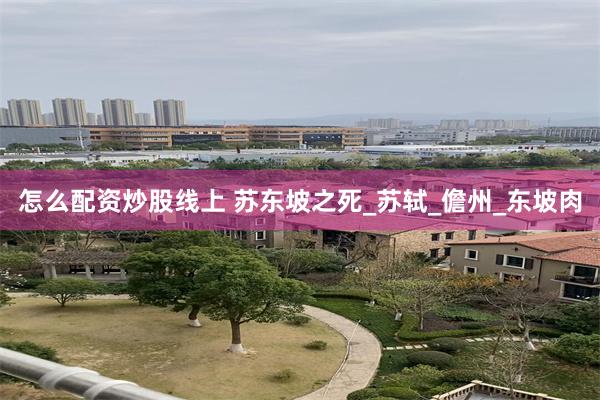 怎么配资炒股线上 苏东坡之死_苏轼_儋州_东坡肉