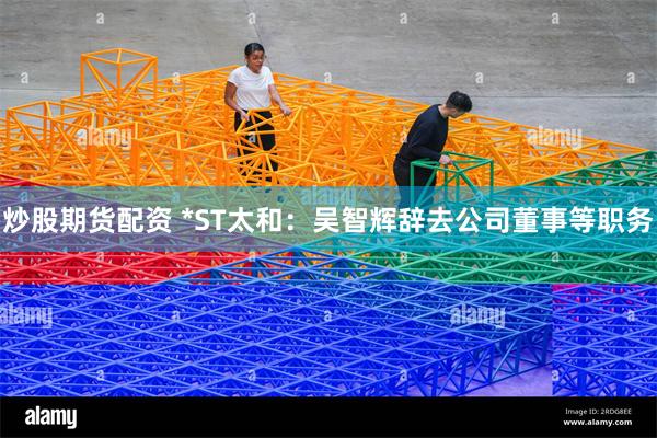 炒股期货配资 *ST太和：吴智辉辞去公司董事等职务