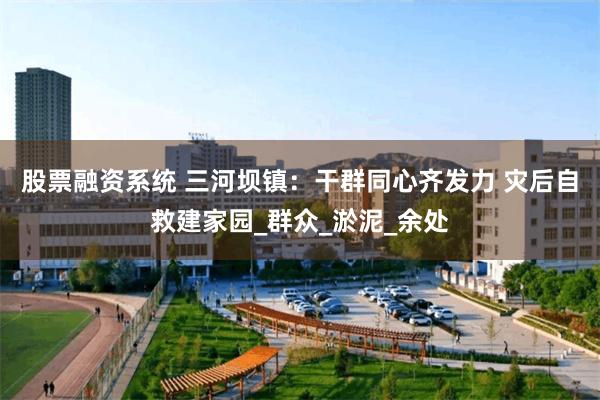 股票融资系统 三河坝镇：干群同心齐发力 灾后自救建家园_群众_淤泥_余处