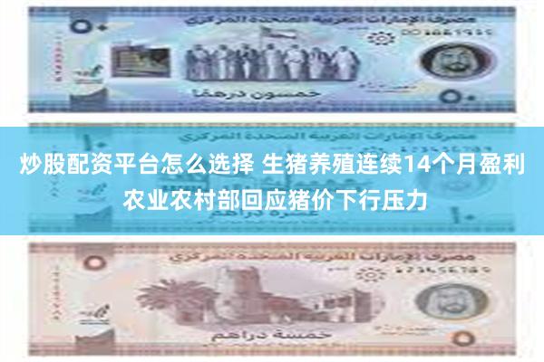 炒股配资平台怎么选择 生猪养殖连续14个月盈利 农业农村部回应猪价下行压力