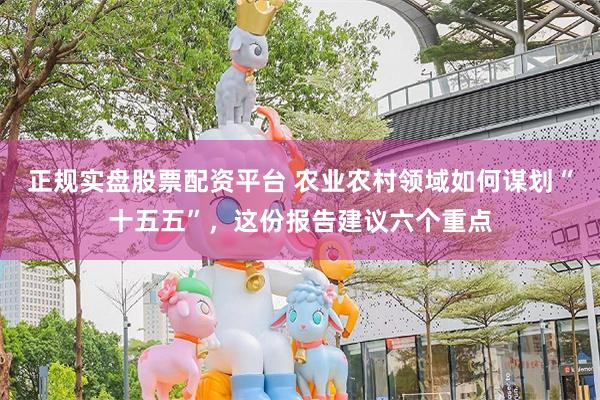 正规实盘股票配资平台 农业农村领域如何谋划“十五五”，这份报告建议六个重点