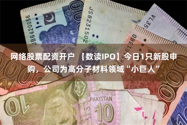 网络股票配资开户 【数读IPO】今日1只新股申购，公司为高分子材料领域“小巨人”