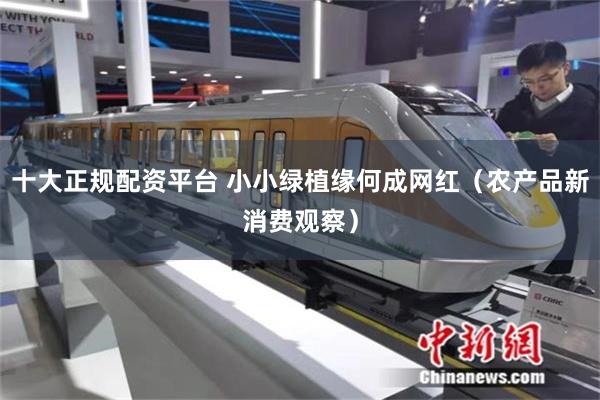 十大正规配资平台 小小绿植缘何成网红（农产品新消费观察）