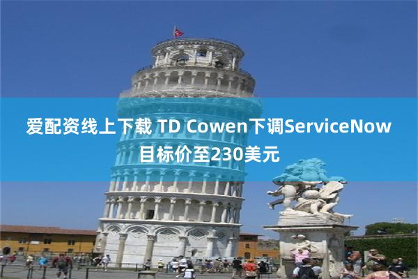 爱配资线上下载 TD Cowen下调ServiceNow目标价至230美元
